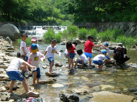 SEG사업단의 주최로 아이들이 생태체험을 하고 있다.
사진제공 / 전북 생명의숲 ⓒ2007 welfarenews