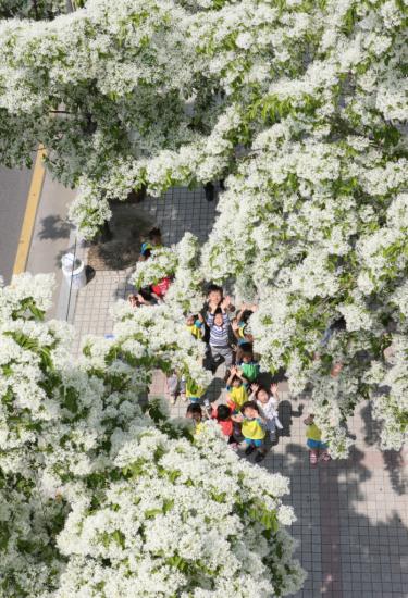사진은 30일 대전시 유성구 일원에서 개최한 눈꽃축제 ⓒ2010 welfarenews