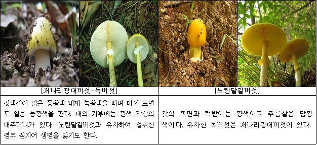 ▲ 자료출처 / 농촌진흥청 국립농업과학원.