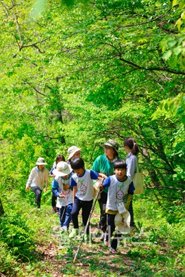 ▲ 소외계층 어린이를 위한 숲생태감수성향상 프로젝트 와숲. ⓒ녹색교육센터