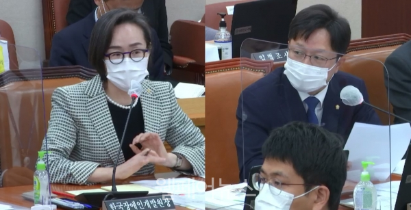 (왼쪽부터) 한국장애인개발원 최경숙 원장과 더불어민주당 강병원 의원. ⓒ국회 의사중계 시스템