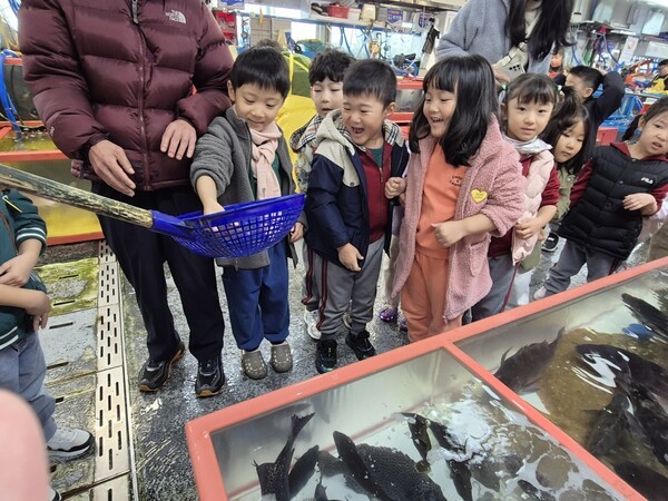 Ⓒ자갈치현대화시장