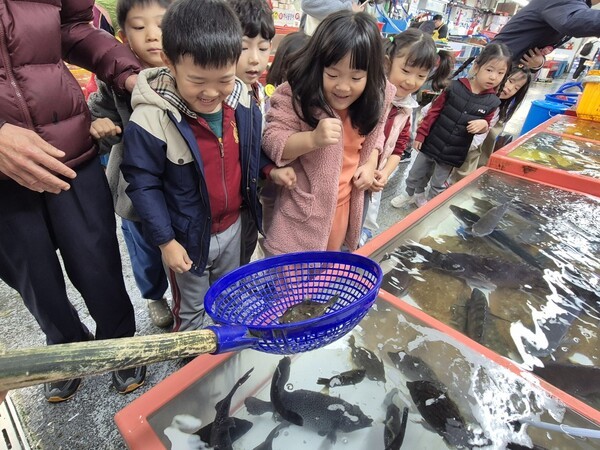 Ⓒ자갈치현대화시장