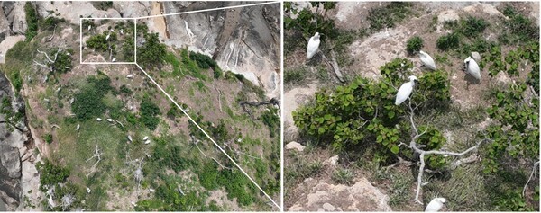 사진제공=순천시